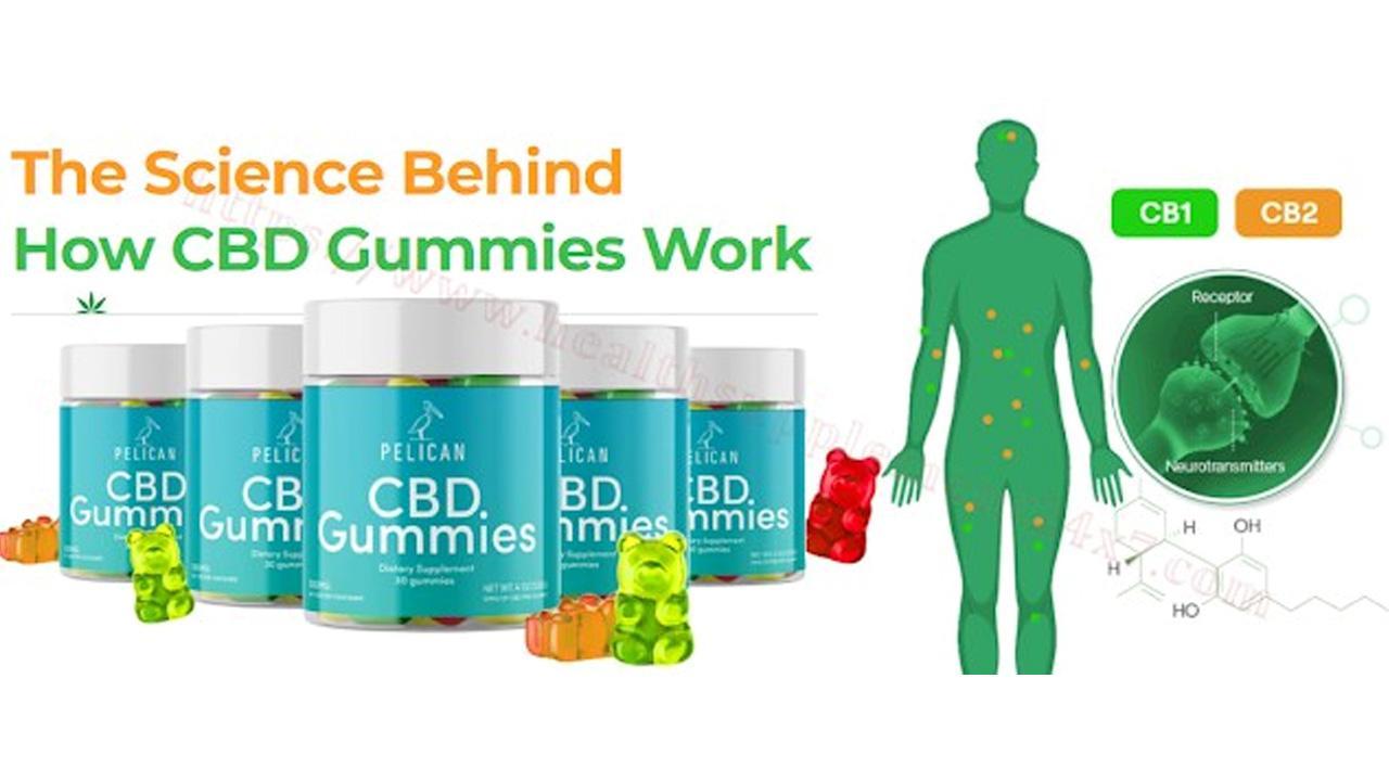 Pelican CBD Gummies [Fake Exposed] Enhancement Gummies Pain Relief  Is Pelican  CBD Gummies Safe Or Scam Trusted?