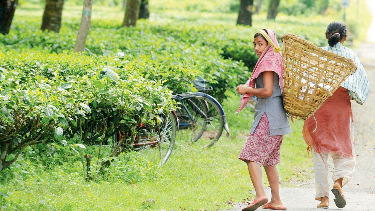Rural wages trailing inflation, govt needs to continue support: Report