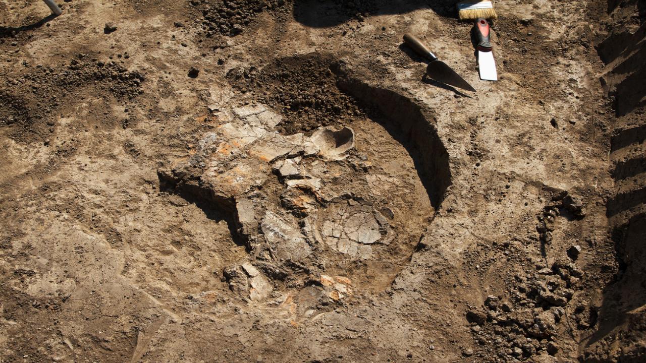 Maha: Millennium old stone statue of Jain Lord Kunthunath found in Hingoli district