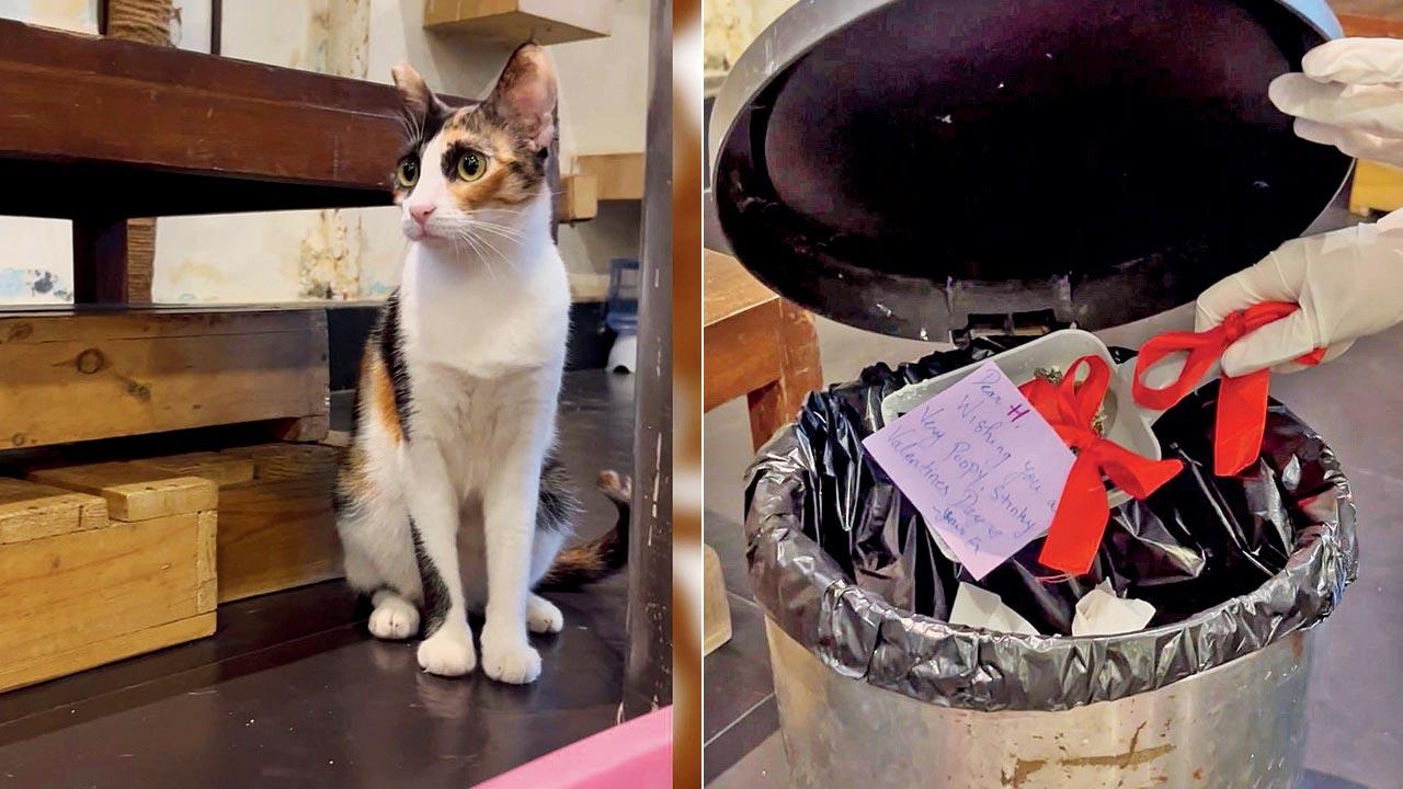 For every entry, the café will scoop cat litter, top it with a note about the participant’s ex, and trash it