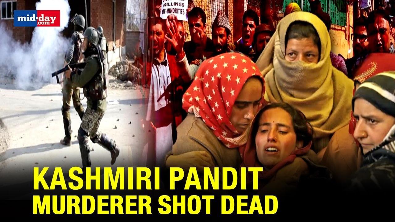 J&K: Security Forces Take Revenge For Kashmiri Pandit Sanjay Sharma