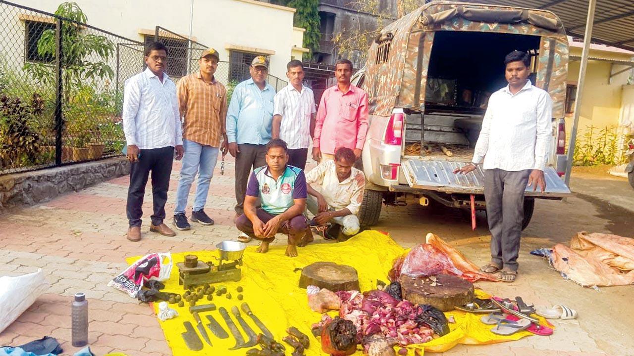 Thane: 4 held for killing boar, selling meat in Bhiwandi