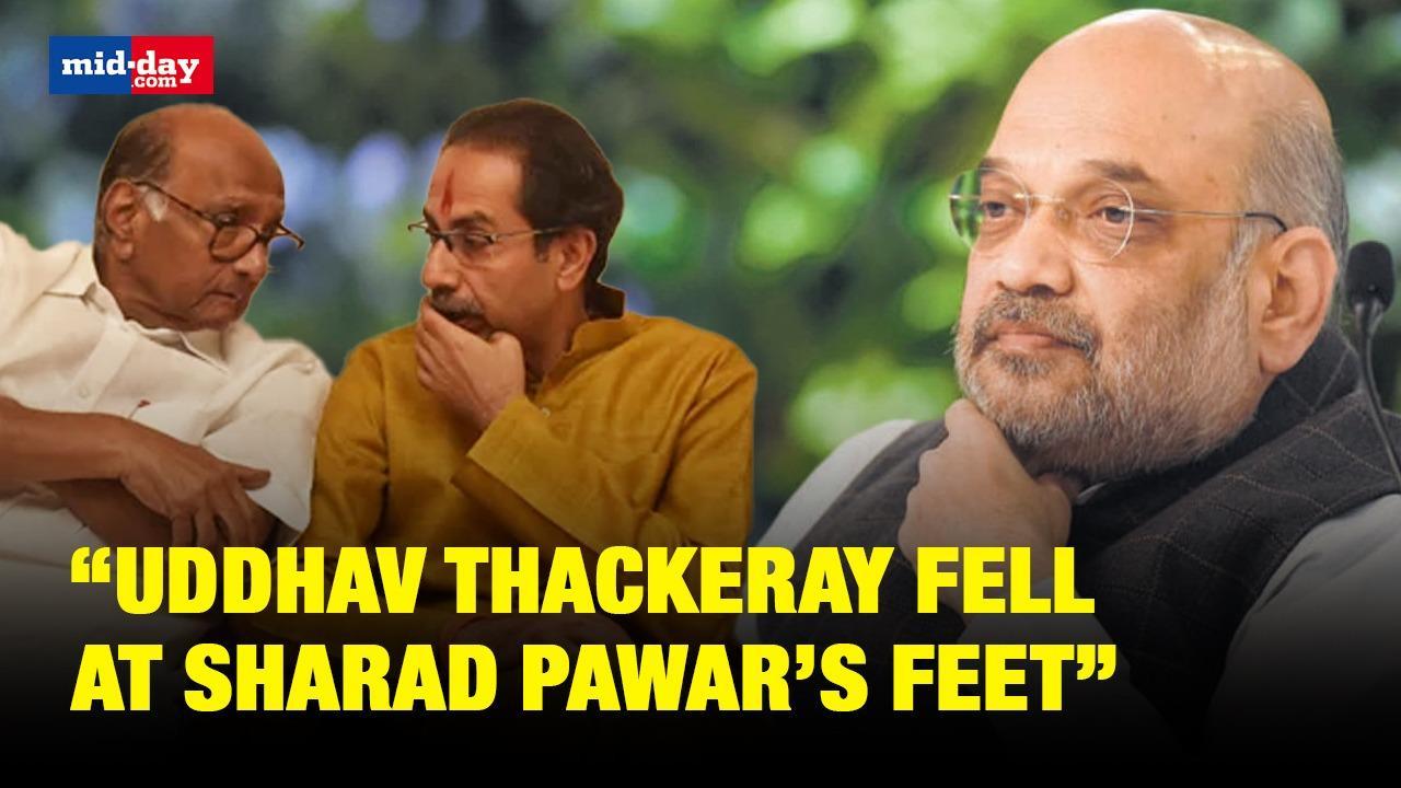 Amit Shah Hits Out At Thackeray For Falling At Sharad Pawar'’s Feet For CM Post