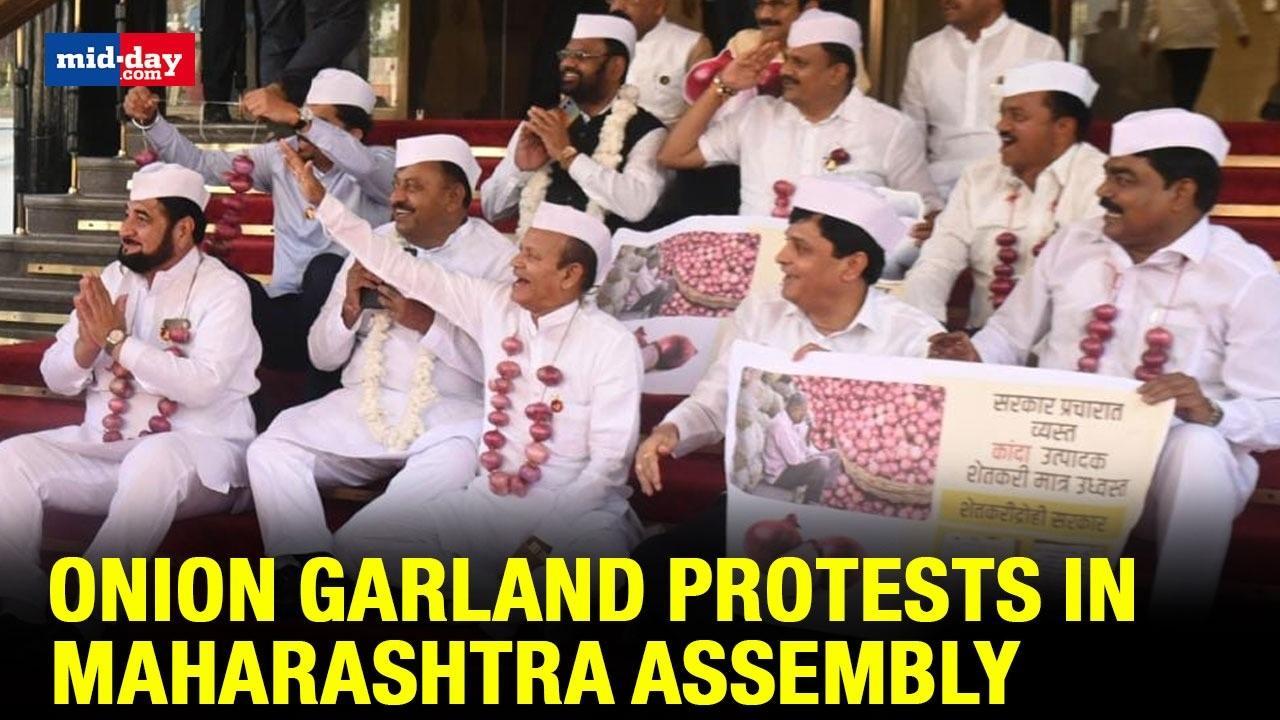 Onion Garland Protests In Maharashtra Assembly Over Falling Onion Prices