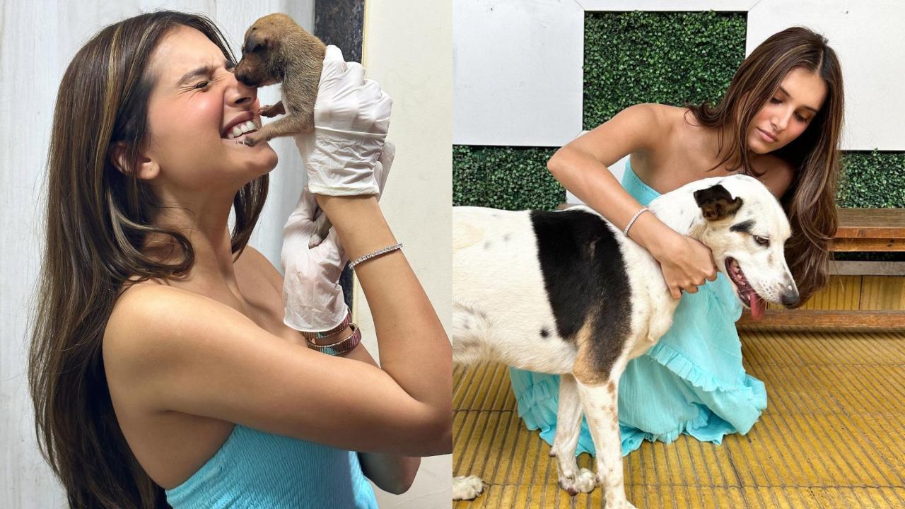 Tara Sutaria shares snuggle time pictures with indie pups; check out