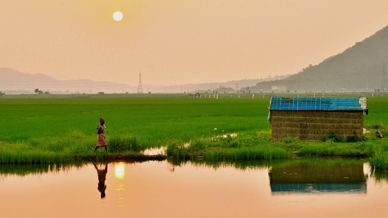 Caught in border dispute between Assam and Nagaland, a village in need of electricity