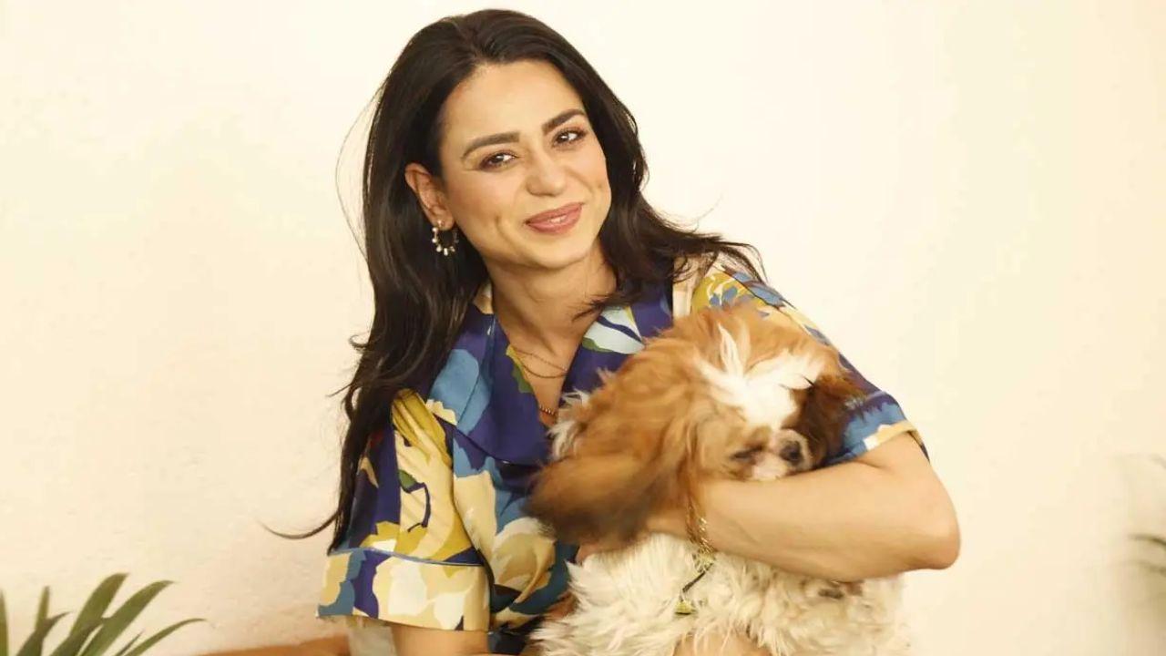 Popular 'Bigg Boss 16' contestant and actress Soundarya Sharma introduces mid-day.com to her possessive Nannu. Find out how he got his name, about his love for vegan food, how Soundarya was once attacked by 13 dogs and much more in the latest episode of Celebrity Pet Parents. Watch the video on mid-day's Youtube page. Read full story here