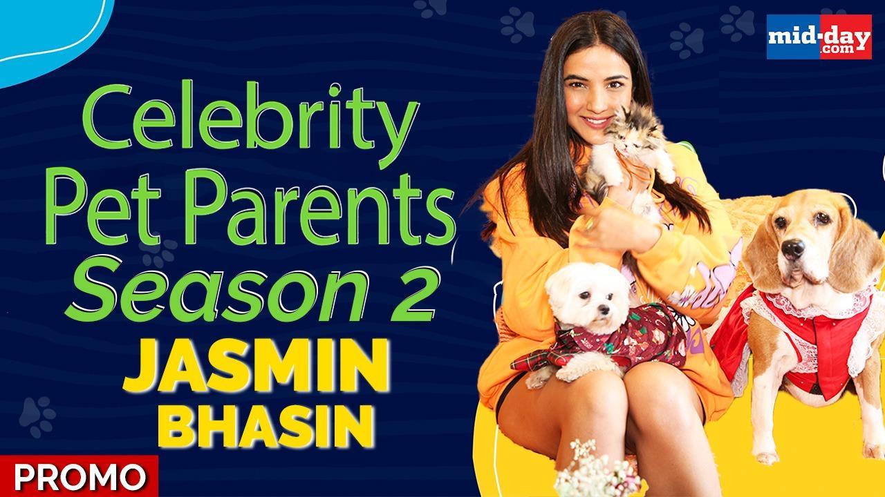 Watch video: Celebrity Pet Parents 2 launches with Jasmin Bhasin