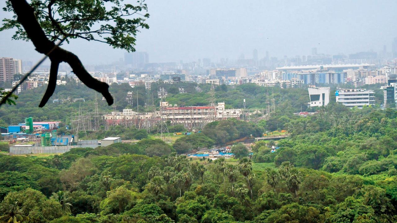 Mumbai: Pandemic over, yet no public hearing over Aarey trees