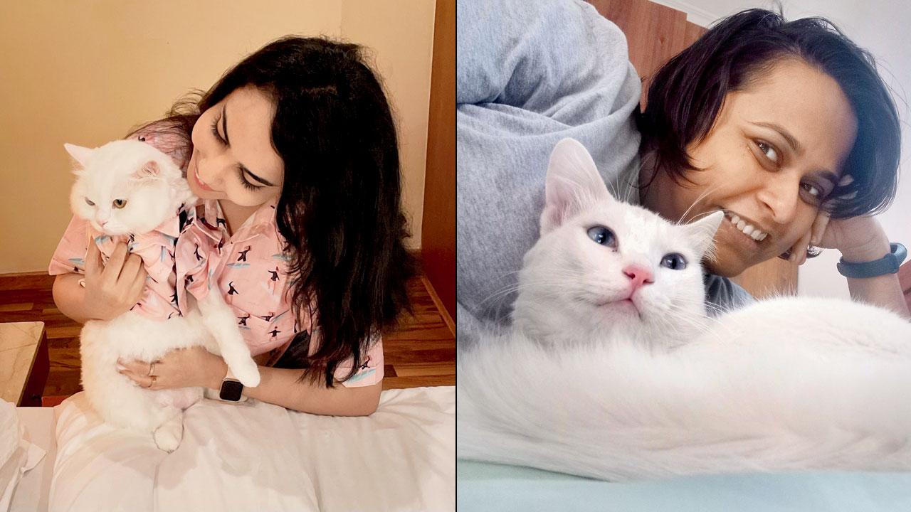 Arushi Batra with her son Coco (right) Sonal Jain with Galaxy, the cat she is sitting in Goa currently