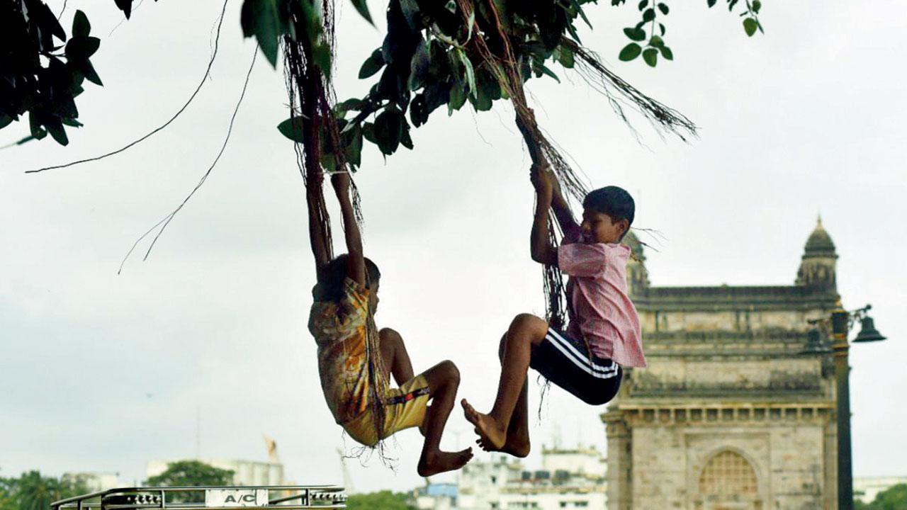 Mumbai: Where is the space for a banyan, asks environmentalist