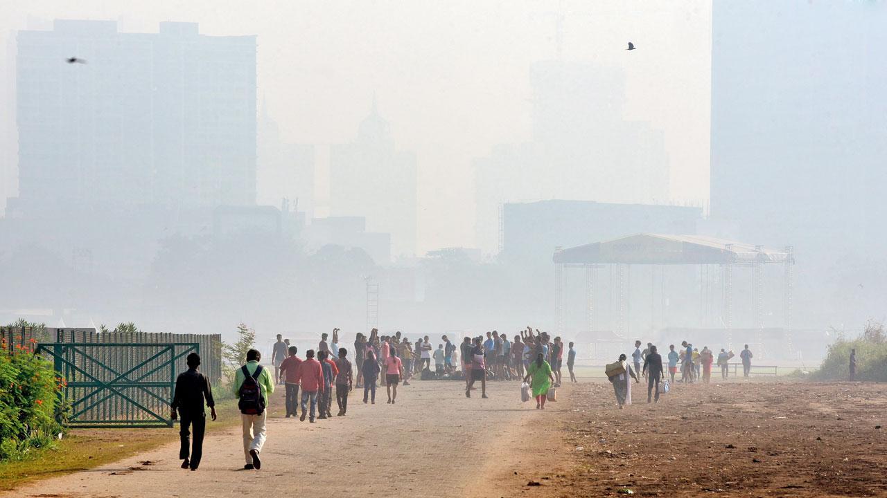 Cold weather to continue in Mumbai, say meteorologists