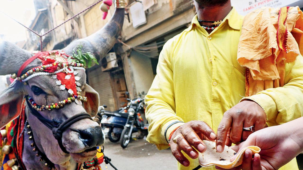 Mumbai Diary: Saturday Dossier