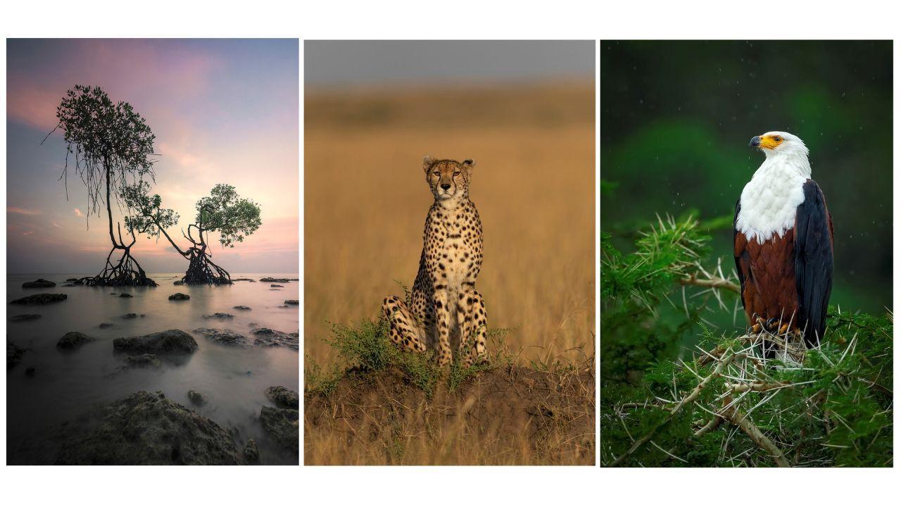 DCP Expeditions to exhibit its Grand Annual Photography Exhibition at Bombay Art