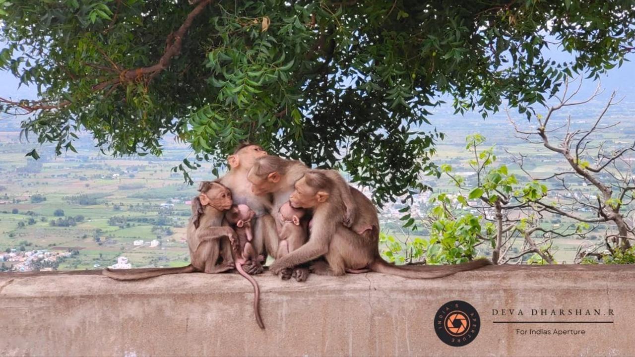 Family wins the Grand Prize in India's Aperture Phone Photography Contest