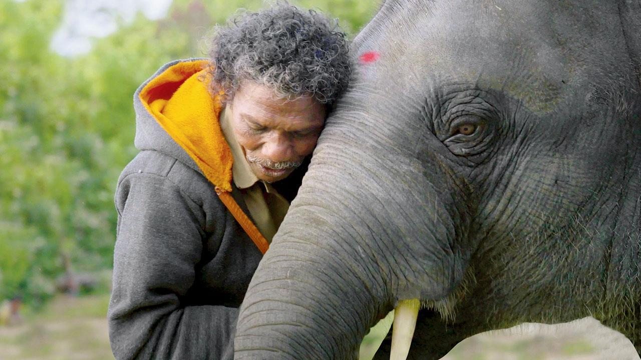 Director Kartiki Gonsalves: ‘I have never seen a happier elephant’