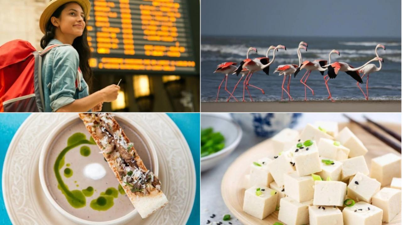 Food, flamingos and fashion: Here’s a weekly roundup of our top features