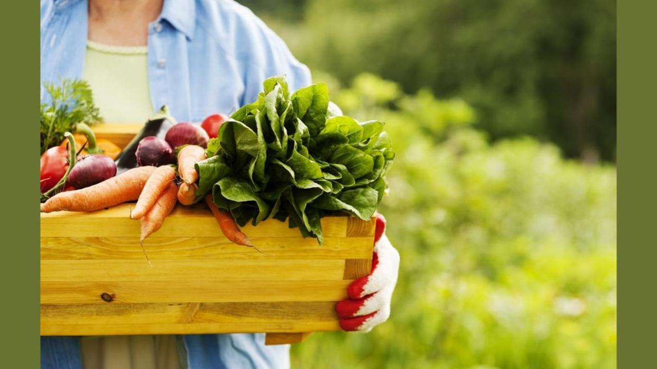 How can I get an Agriculture Loan from IndusInd Bank?