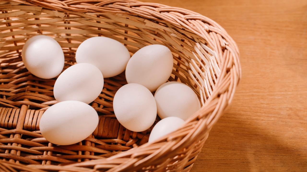 Maharashtra facing shortage of 1 crore eggs per day: Official