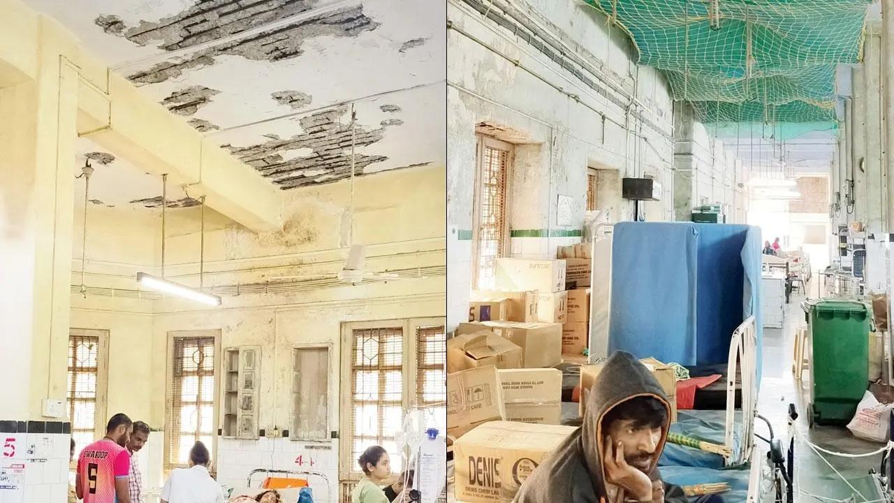 Chunks of plaster from the ceiling have fallen off in many wards at KEM hospital (right) the hospital administration has installed nets below the ceiling to avoid untoward incidents, at ward no. 8