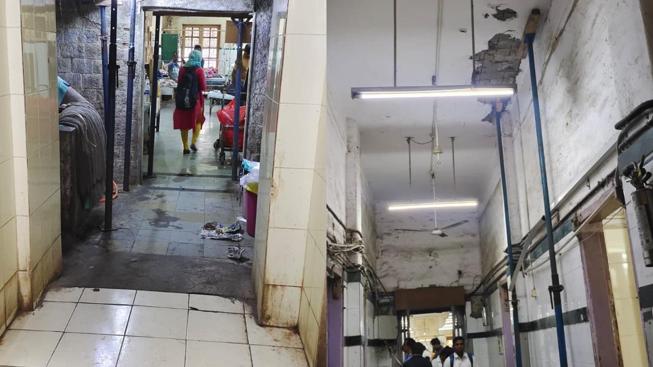 As per the official, the wards that need repairs are ward 4 (medicine), 4A (emergency), 7 (general surgery male), 11 (medicine), 8 (general ward female), and 12 (general ward). When asked about the condition of these wards, Deputy Municipal Commissioner Sanjay Kurhade told mid-day, “We are concerned for the safety of the patients and are looking for options to shift them”