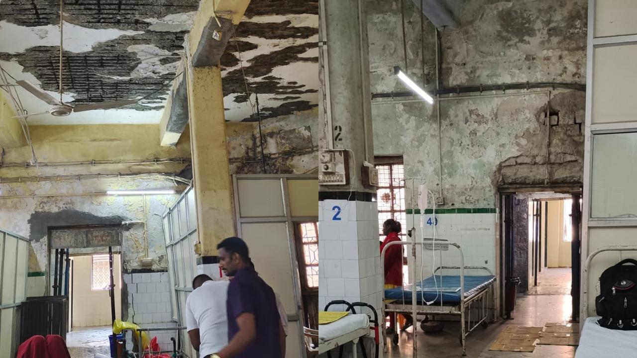 Many of the wards at the hospital also reported leakage issues. Adjustable iron scaffolding props jack were placed at the entrance, passage and toilets of several wards to provide support to the dilapidated structures. mid-day has learnt that apart from these six wards, the condition of the nursing school and nurse quarters too was bad