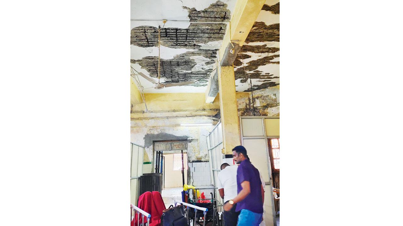 The ceiling of ward 11 at KEM hospital has visible iron rods as plaster has fallen off