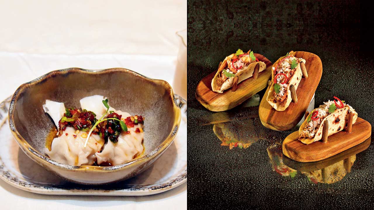 Kalimpong dumpling and Pulled Kathal Phulka Taco