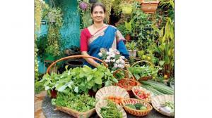 Follow these accounts to learn more about urban farming and gardening