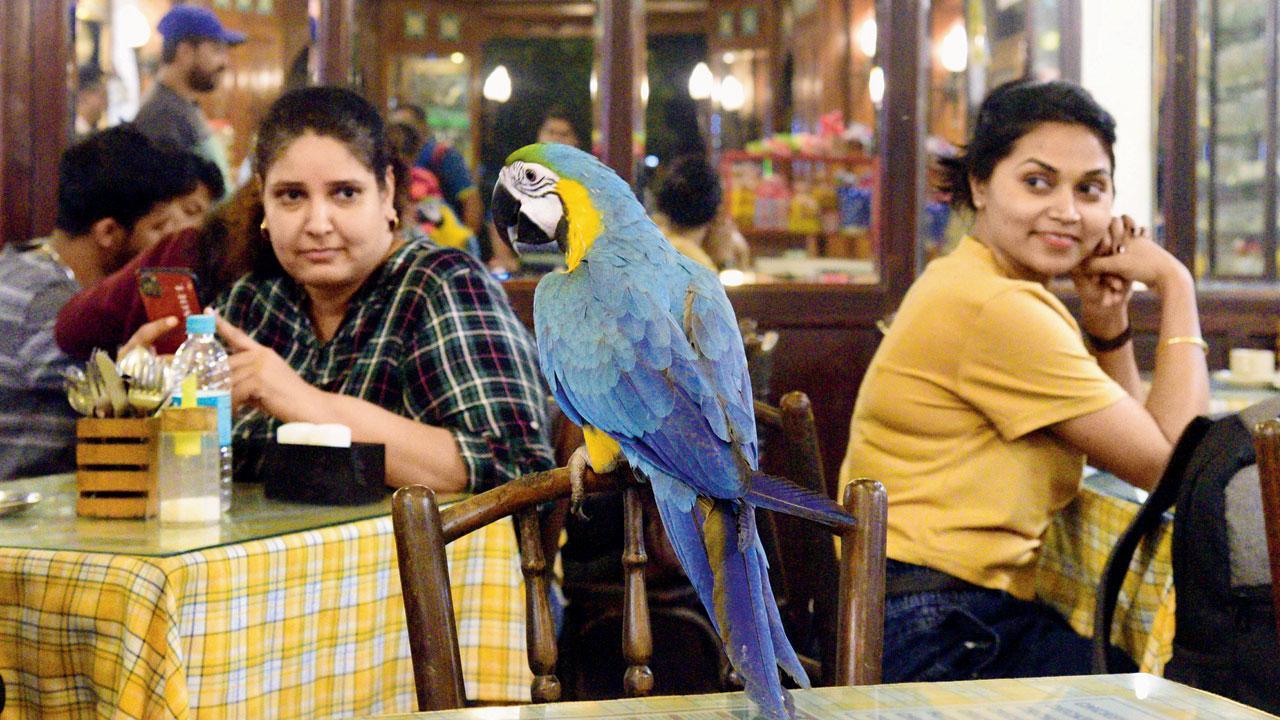 Mumbai Diary: Friday Dossier