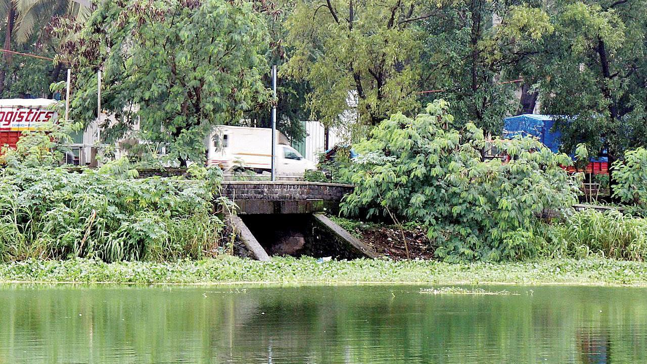 Mumbai: BMC picks consultant to keep Powai lake sewage-free