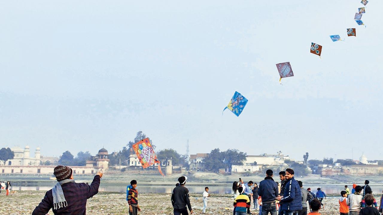 Six killed, 176 injured in kite flying incidents in Gujarat