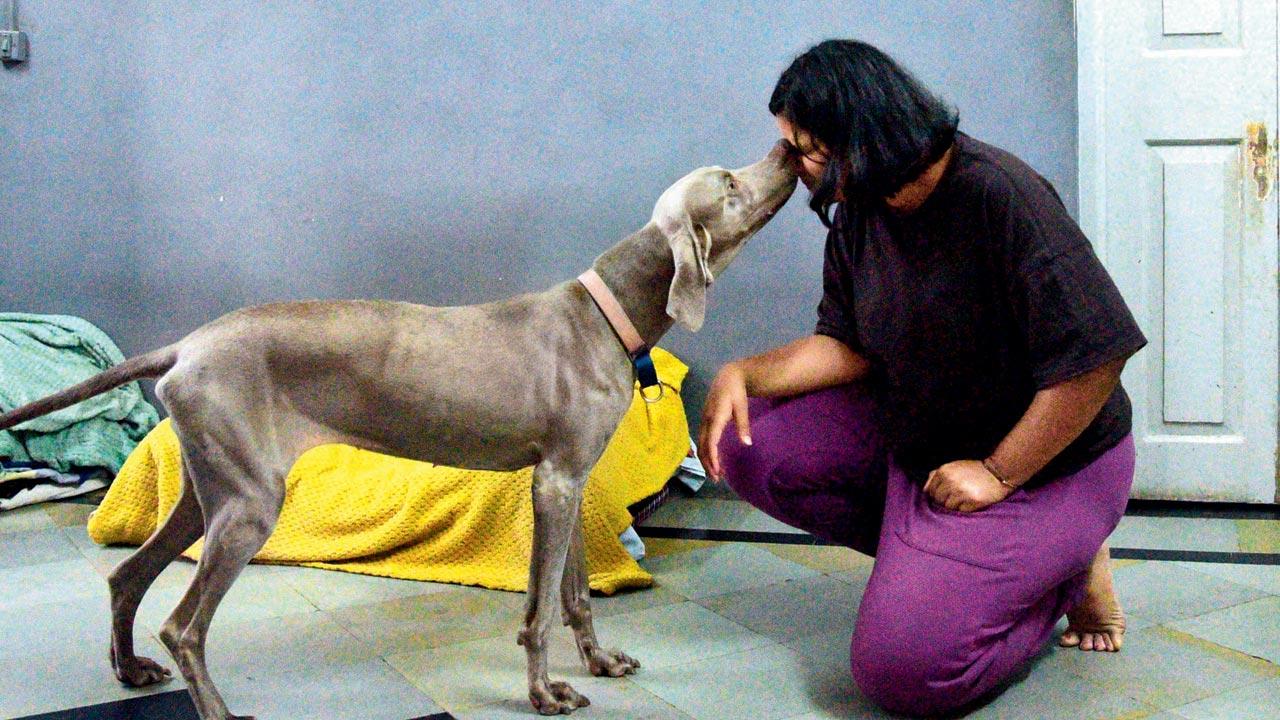 Pradnya Hattiangadi found that violent training methods had sent Kiss into a shell. A softer tone, gentle touches and lots of rewards made this once “untrainable” dog, a workaholic. Pics/Pradeep Dhivar