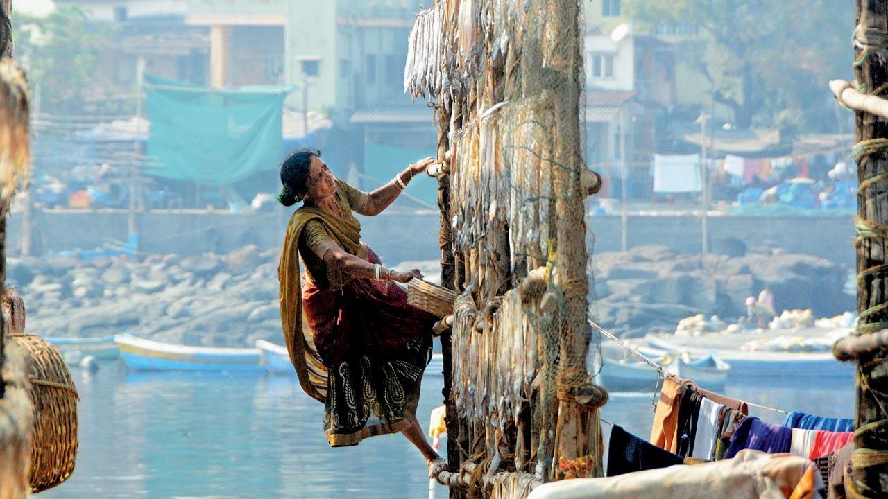 Mumbai Diary: Saturday Dossier