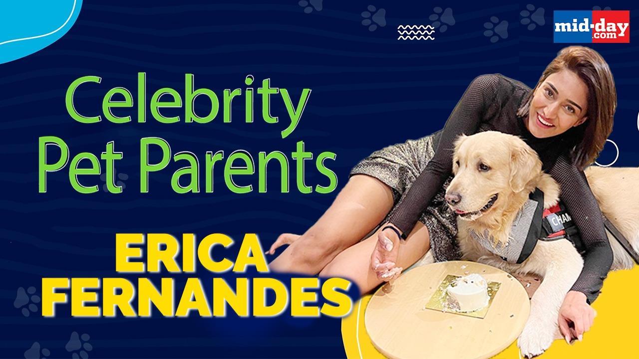 Watch video! Celebrity Pet Parents 2: Meet Erica Fernandes's terrific trio-Champ, Ginger and Coco