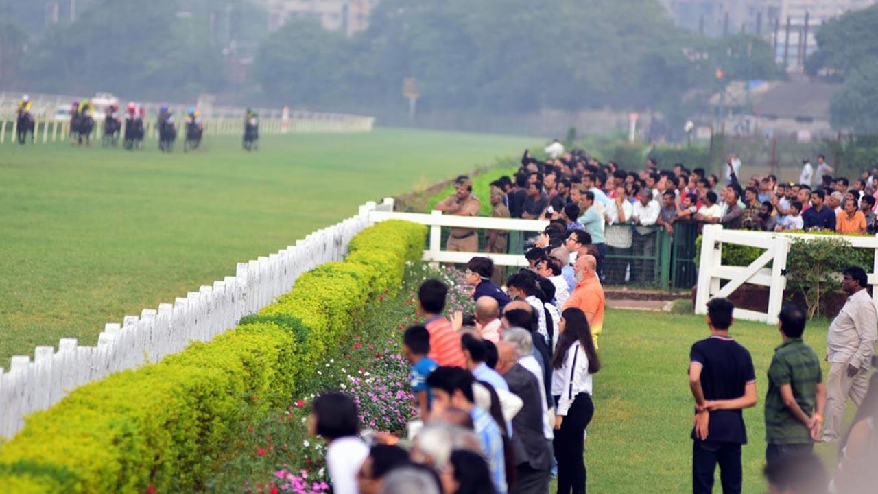 Sky Fall wins Madras Race Club Trophy