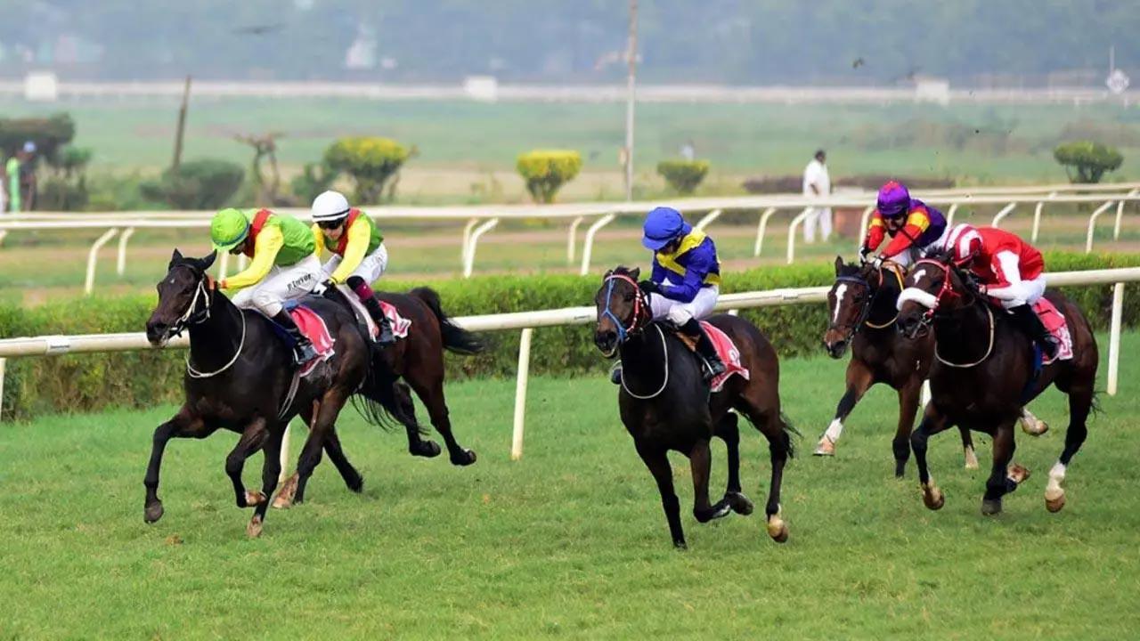 Endeavour for Madras Race Club Trophy