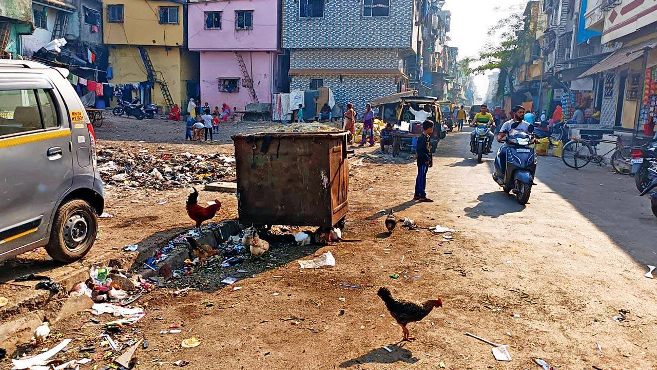 Overflowing community bins in beautified Mumbai