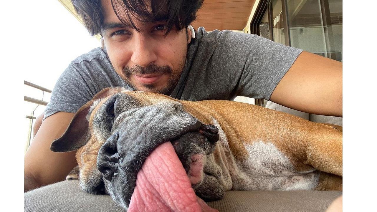 Sidharth Malhotra Birthday 2023: The actor's cute moments with his dog Oscar
