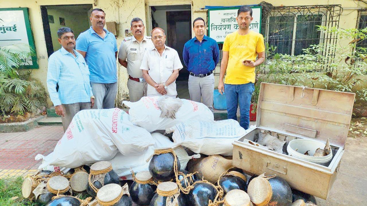 Mumbai: 117 monitor lizard skins seized from Malad instrument manufacturing unit