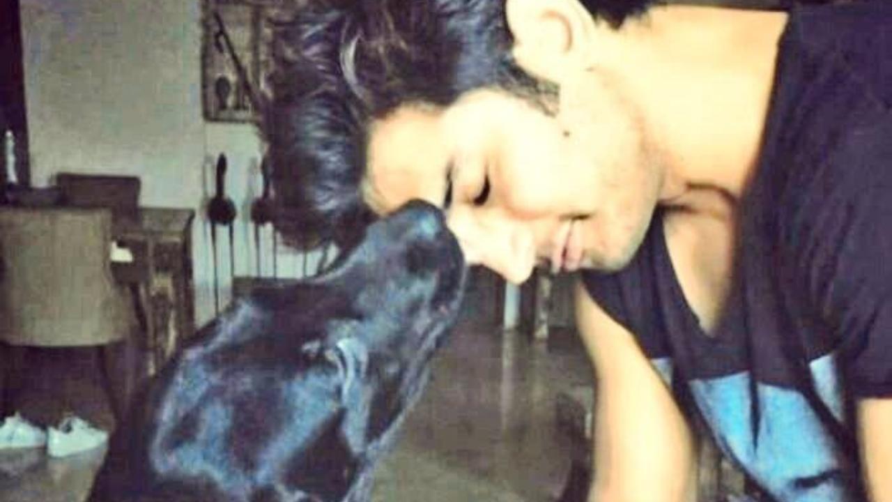 Sushant Singh Rajput's dog Fudge passes away; fans mourn