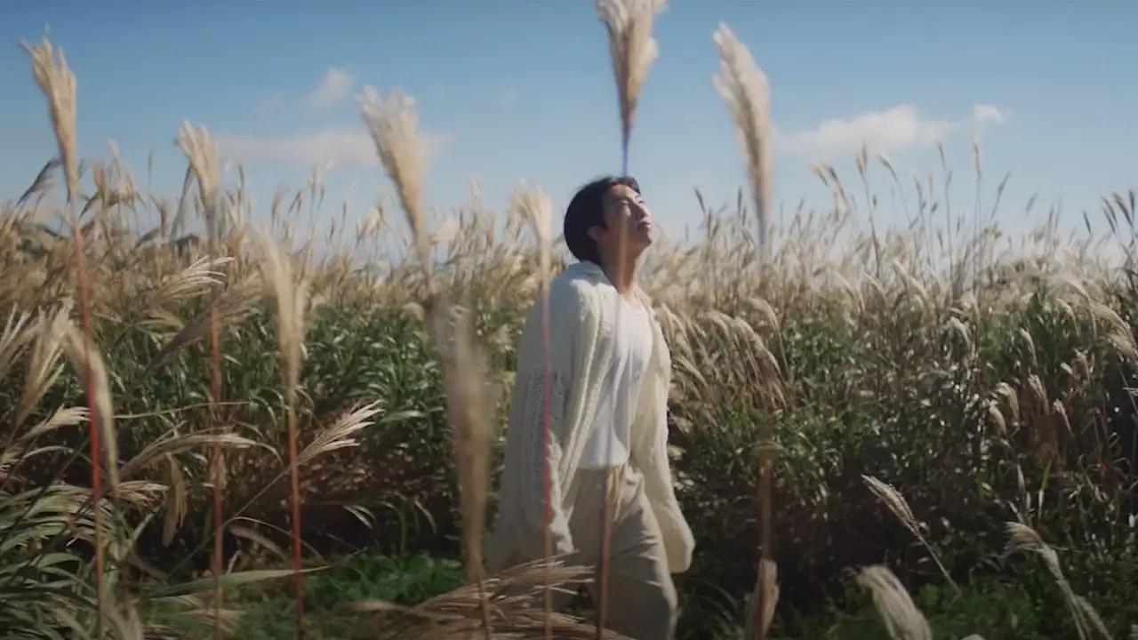 The title track of the album, 'Wild Flower' was also literally shot amongst fields of ferns and wildflowers. The song dives into the harsh realities of being on stage, and how sometime the person Namjoon, as opposed to idol RM, needed to step back and immerse himself into simpler things in life