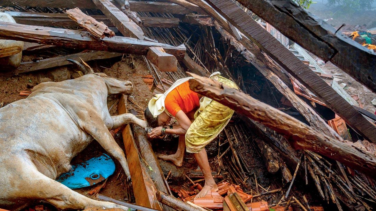 A resident of Irsalwadi, Khalapur, whose family was wiped out in the July 21 landslide. The death toll officially stands at 57; 83 persons are still unaccounted for. Pic/Getty Images