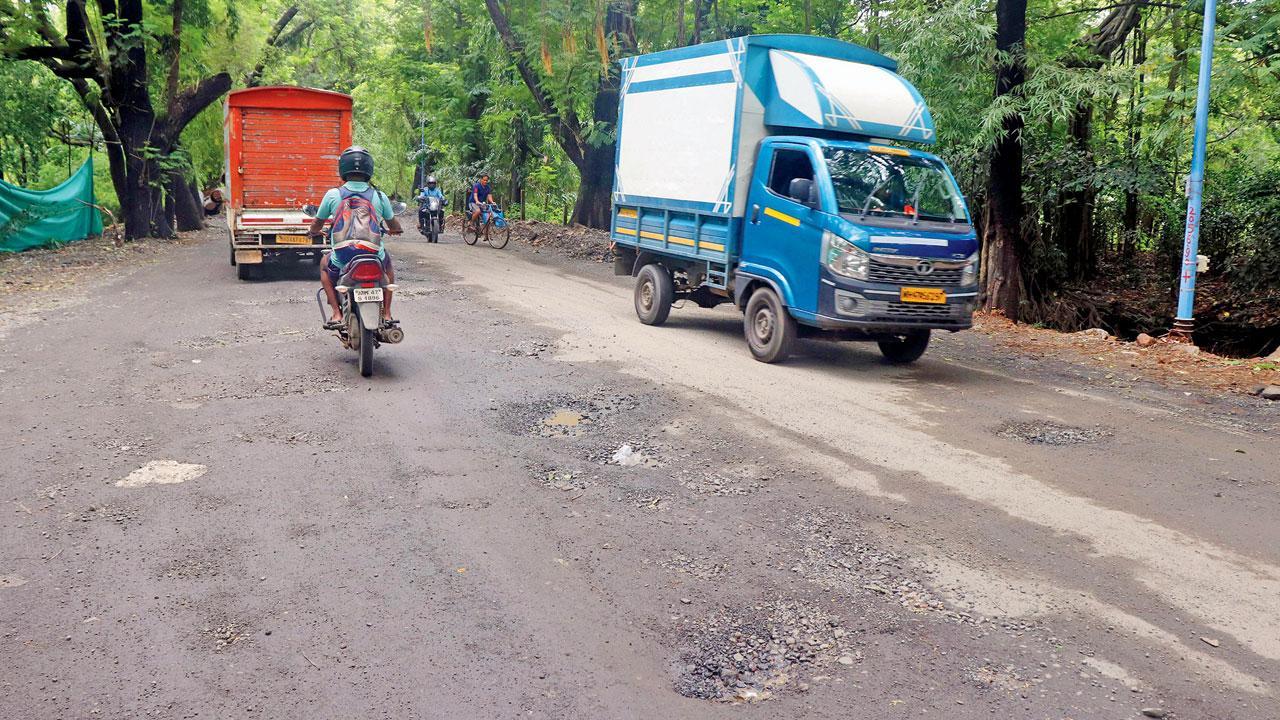 Mumbai: Aarey main road plagued by potholes, lack of dividers, and wildlife hazards