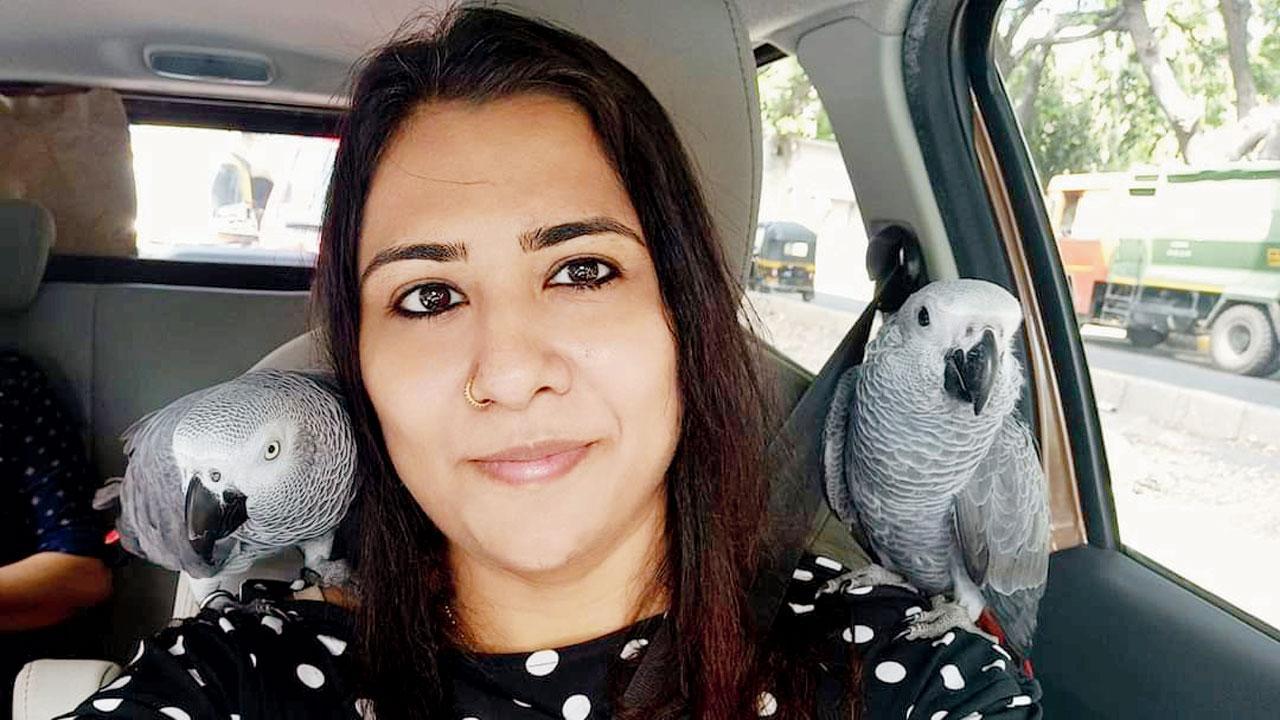 Mumbai: Help me find my parrot!