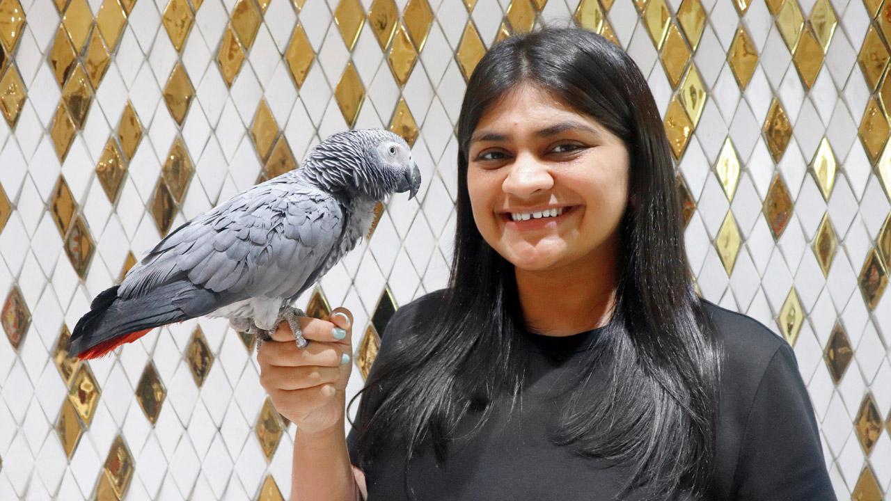 Heena Gala, the rescuer’s daughter, with the parrot ‘Coco’. Pic/Anurag Ahire