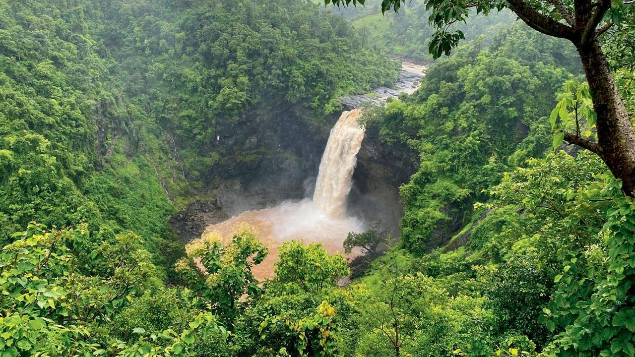 Three people have died this monsoon at this waterfall at Jawhar in Palghar district