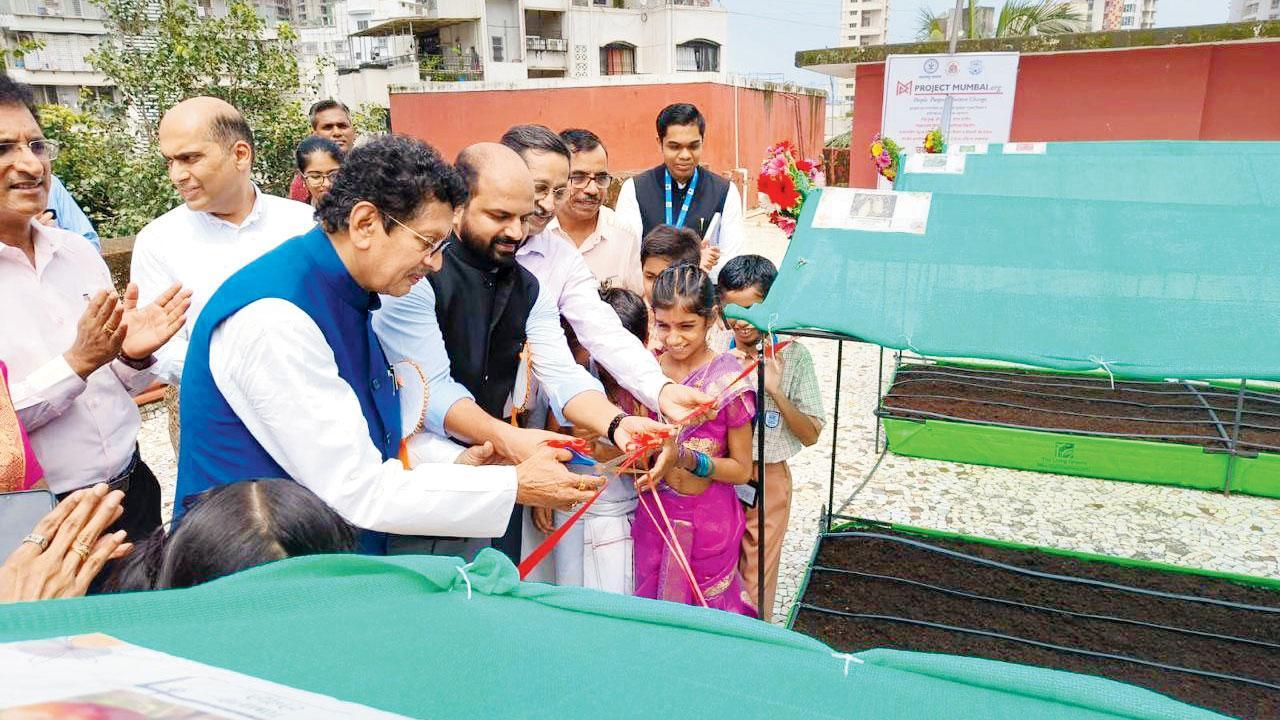 Mumbai: BMC launches terrace farming initiative for civic schools
