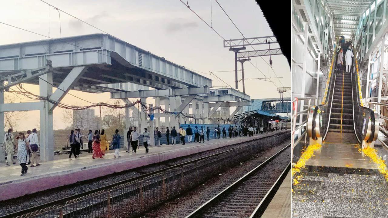 Escalator shifted from Mira Rd to Mahim station