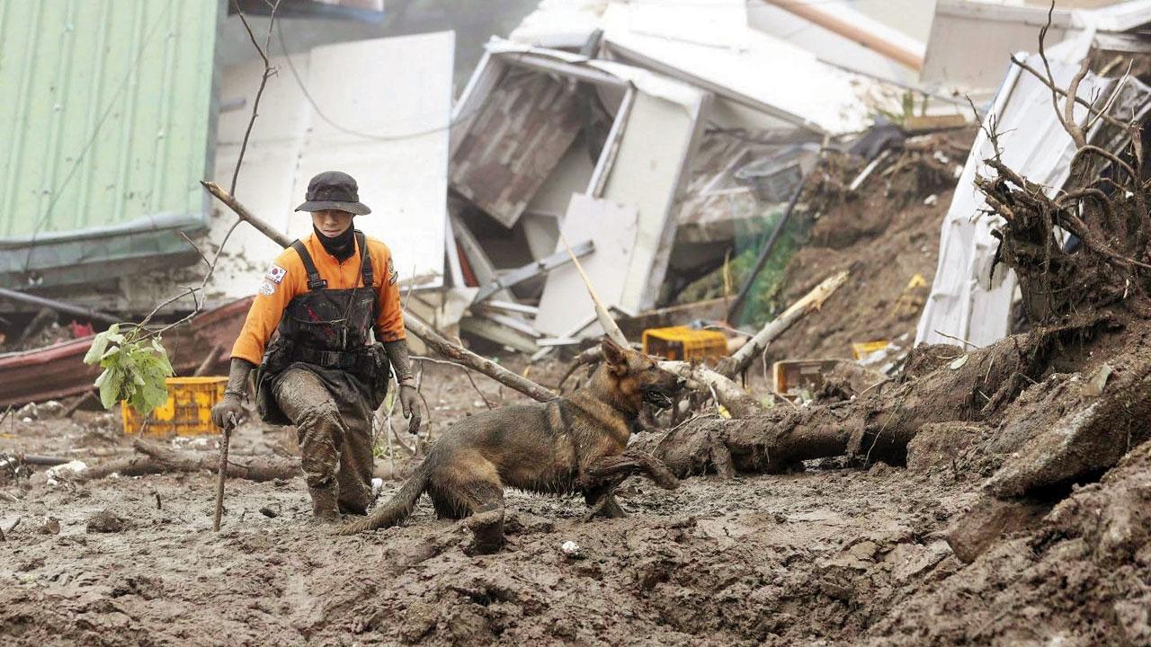 Flooding across globe to become more common, say scientists